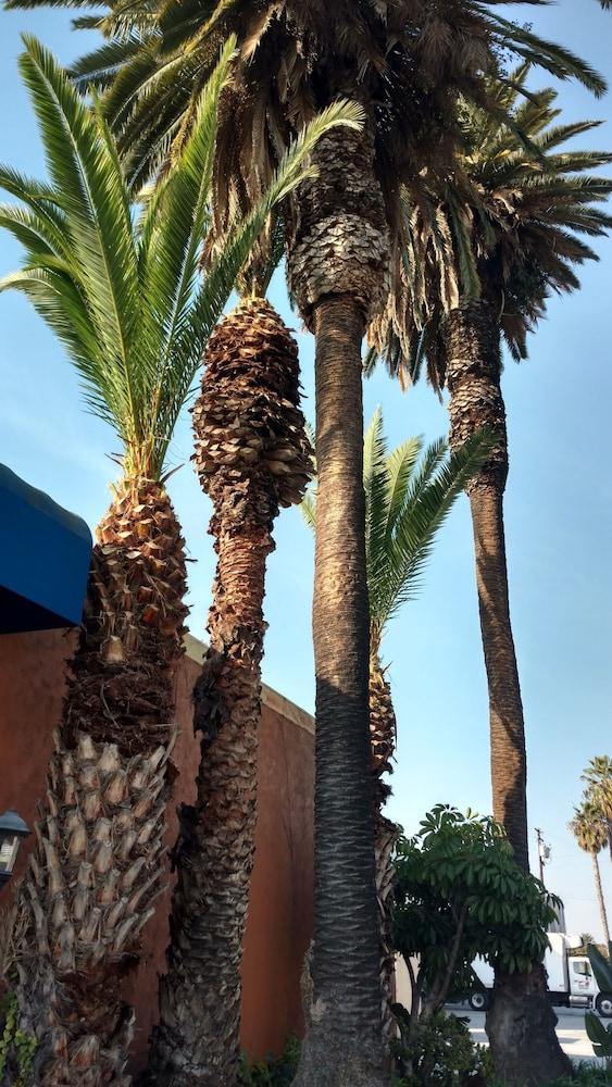 Days By Wyndham Angeles Lax/venicebch/marina Delray